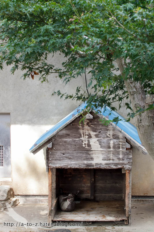 f:id:otters_yvonne:20160821141208j:plain