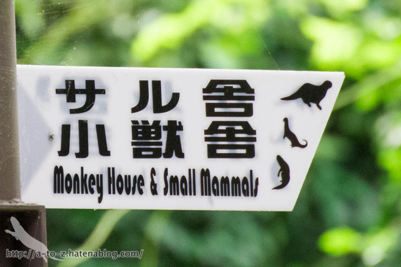 f:id:otters_yvonne:20160821141220j:plain