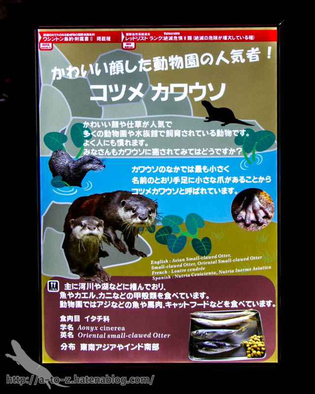 f:id:otters_yvonne:20161102203608j:plain