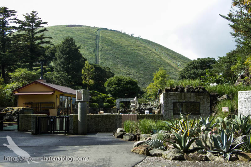 f:id:otters_yvonne:20161102203611j:plain