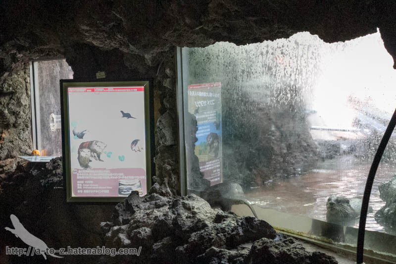 f:id:otters_yvonne:20161102203623j:plain