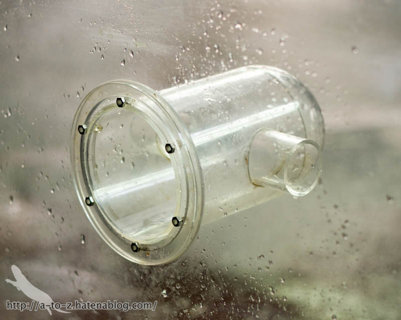 f:id:otters_yvonne:20161102203625j:plain