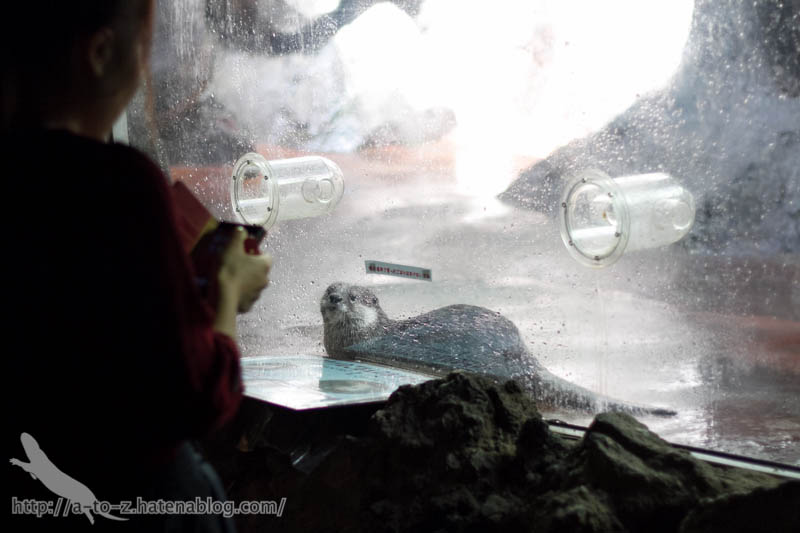 f:id:otters_yvonne:20161102203626j:plain