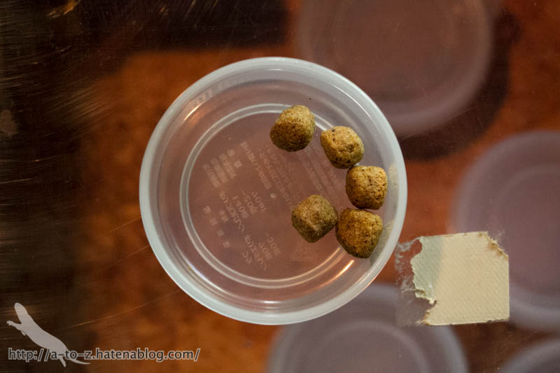 f:id:otters_yvonne:20161102203633j:plain