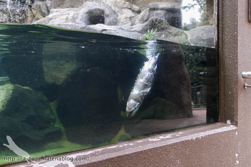 f:id:otters_yvonne:20171006184441j:plain