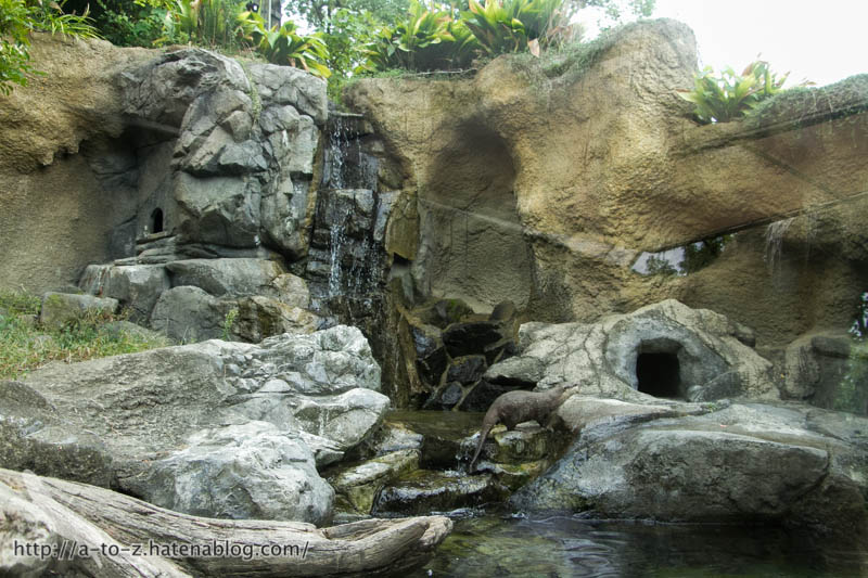 f:id:otters_yvonne:20171006184442j:plain