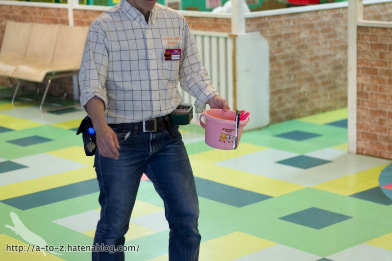 f:id:otters_yvonne:20171006184451j:plain