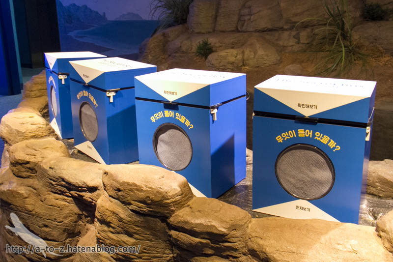 f:id:otters_yvonne:20180120214800j:plain