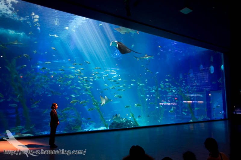 f:id:otters_yvonne:20180120214801j:plain