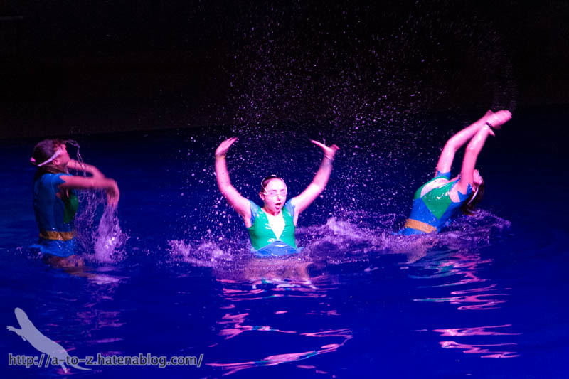 f:id:otters_yvonne:20180120214805j:plain