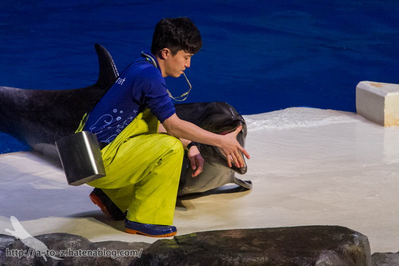 f:id:otters_yvonne:20180120214807j:plain