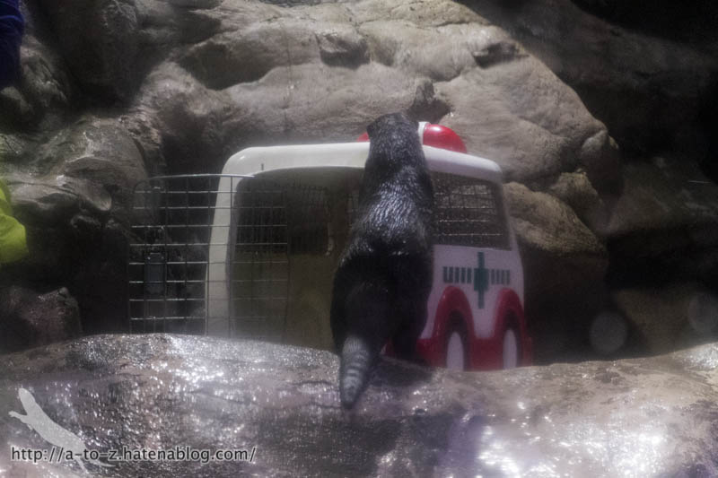 f:id:otters_yvonne:20180120214815j:plain