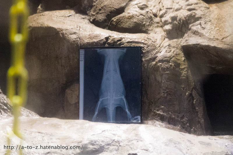 f:id:otters_yvonne:20180120214816j:plain