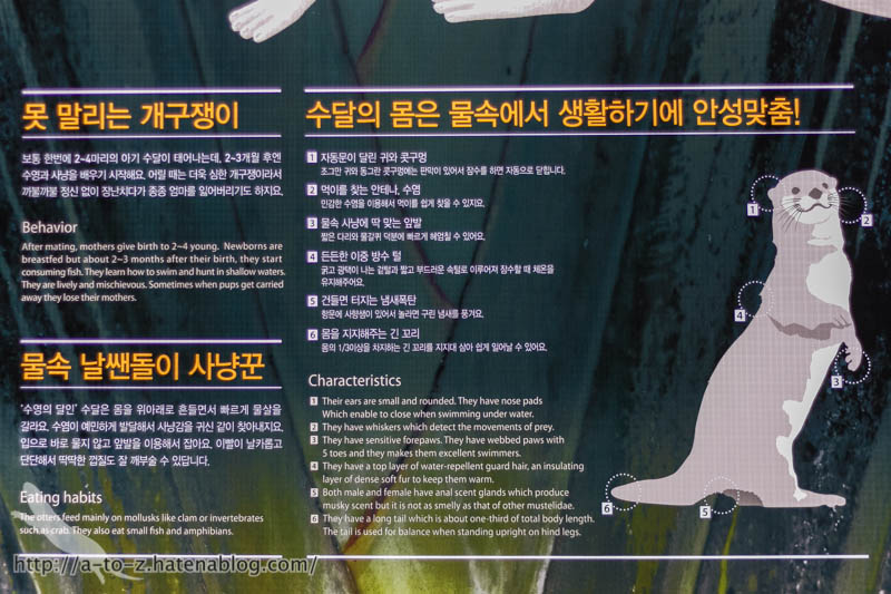 f:id:otters_yvonne:20180120214825j:plain