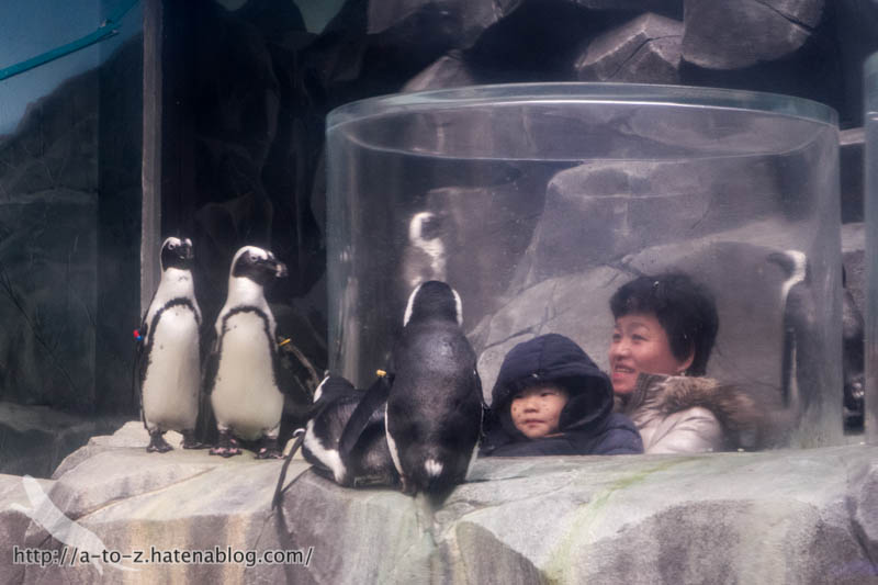 f:id:otters_yvonne:20180120214826j:plain