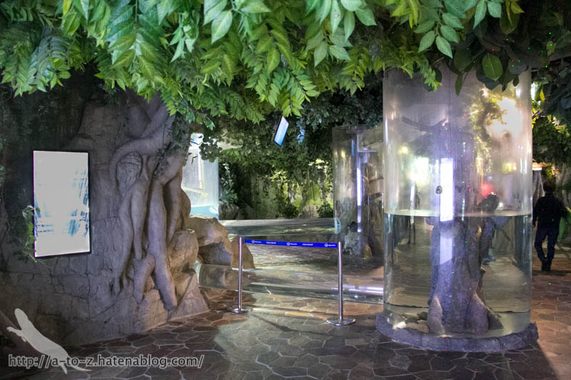 f:id:otters_yvonne:20180120214827j:plain