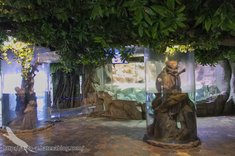 f:id:otters_yvonne:20180120214828j:plain