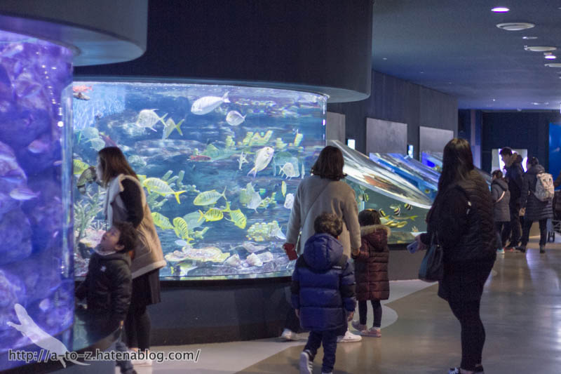 f:id:otters_yvonne:20180120214833j:plain