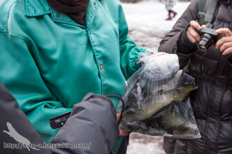 f:id:otters_yvonne:20180222103941j:plain