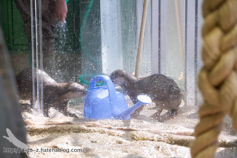 f:id:otters_yvonne:20181013104520j:plain