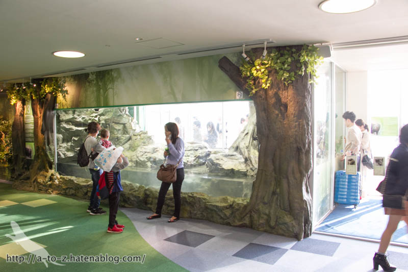 f:id:otters_yvonne:20181013104623j:plain