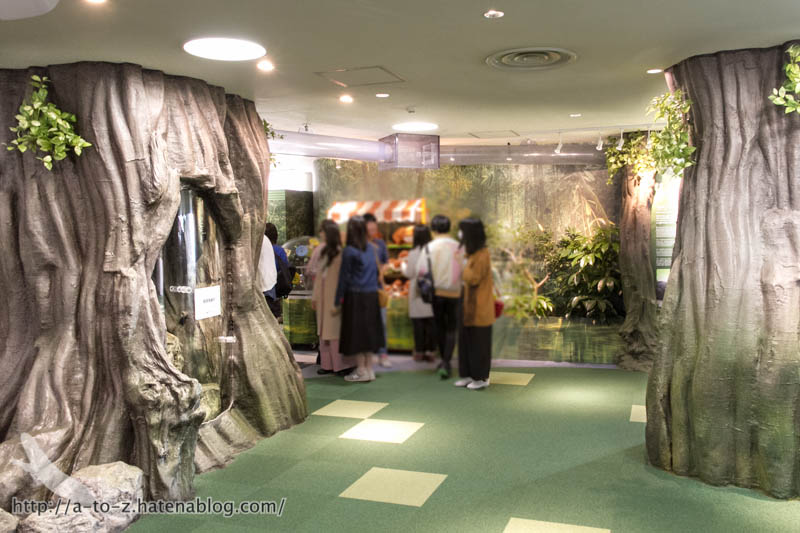 f:id:otters_yvonne:20181013104630j:plain