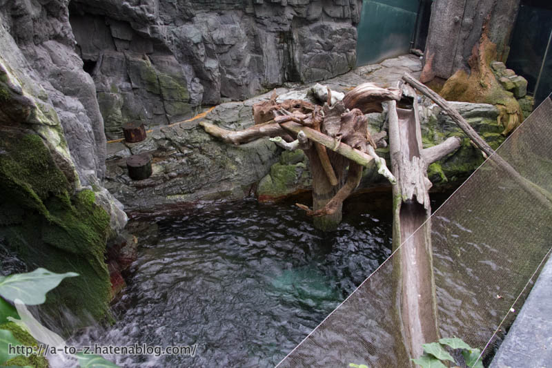 f:id:otters_yvonne:20181016223655j:plain f:id:otters_yvonne:20181016223655j:plain