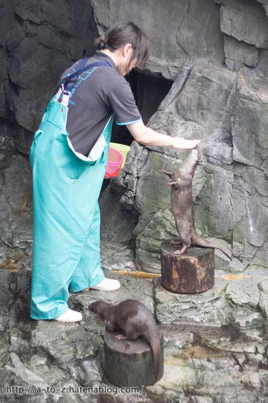 f:id:otters_yvonne:20181016223657j:plain f:id:otters_yvonne:20181016223657j:plain