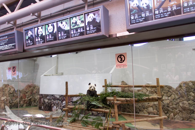 f:id:otters_yvonne:20181021173145j:plain