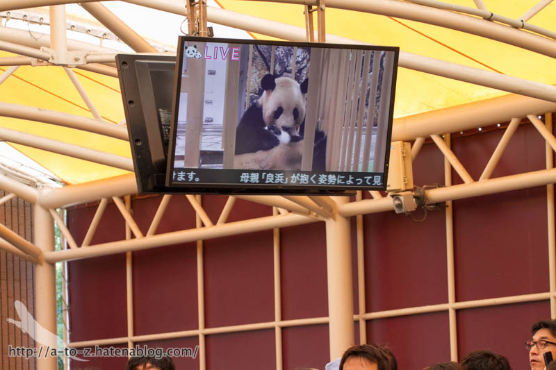 f:id:otters_yvonne:20181021173147j:plain