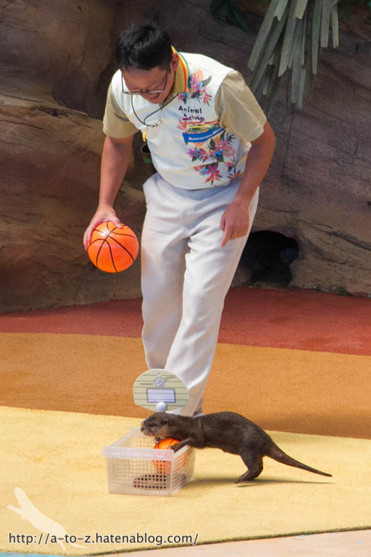 f:id:otters_yvonne:20181021173204j:plain