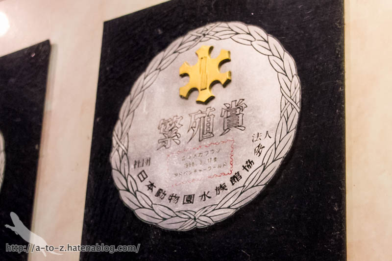 f:id:otters_yvonne:20181021173208j:plain