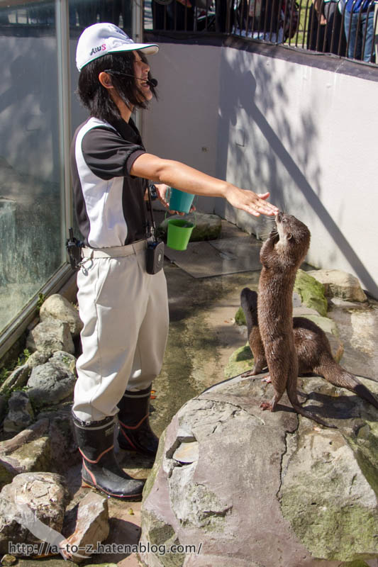 f:id:otters_yvonne:20181021173209j:plain