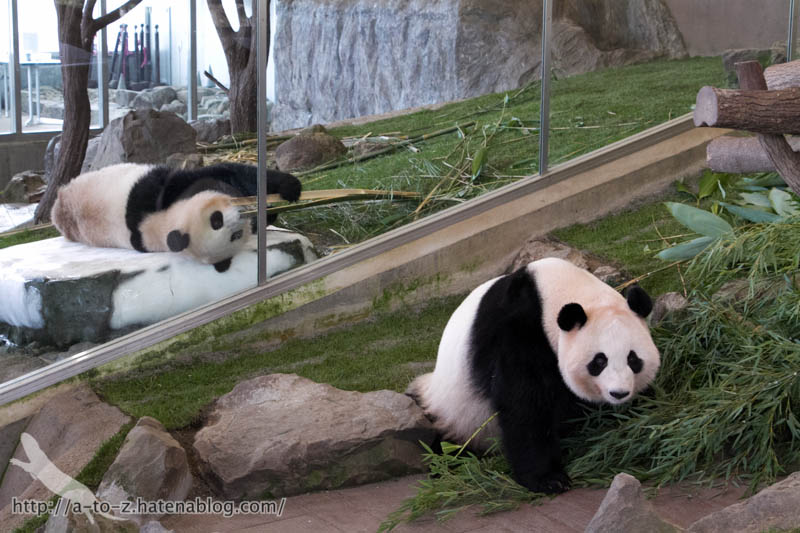 f:id:otters_yvonne:20181021173223j:plain