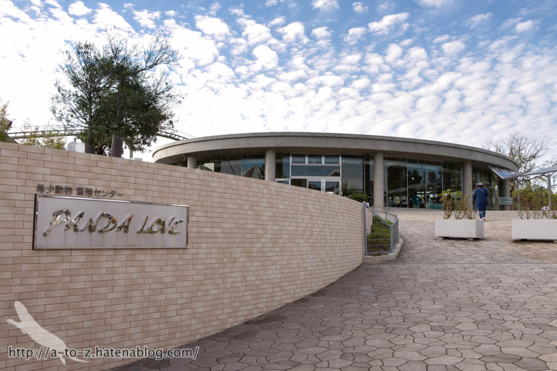 f:id:otters_yvonne:20181021173225j:plain