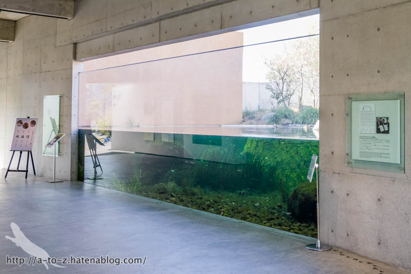 f:id:otters_yvonne:20190201125420j:plain