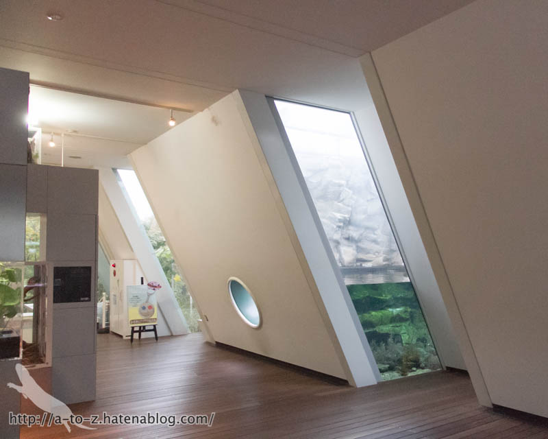 f:id:otters_yvonne:20190201125435j:plain