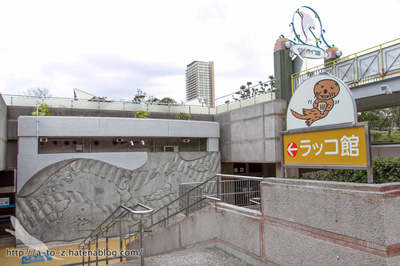 f:id:otters_yvonne:20190201234632j:plain