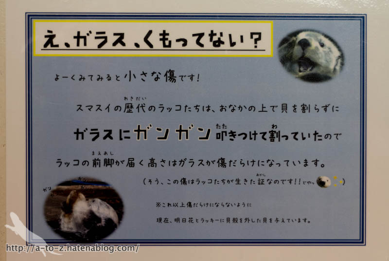 f:id:otters_yvonne:20190201234635j:plain