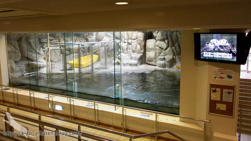 f:id:otters_yvonne:20190201234644j:plain