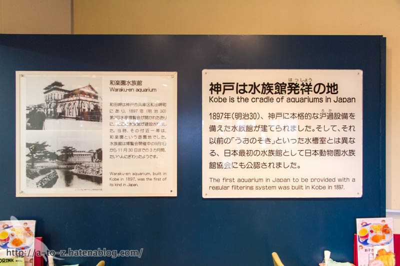 f:id:otters_yvonne:20190201234648j:plain