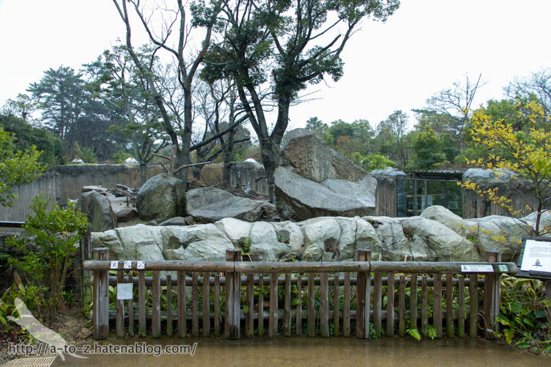 f:id:otters_yvonne:20190422210354j:plain