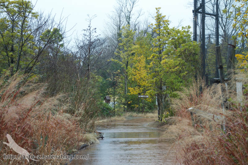 f:id:otters_yvonne:20190422210404j:plain