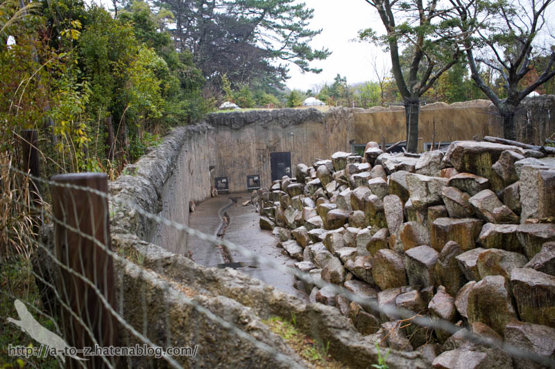 f:id:otters_yvonne:20190422210410j:plain