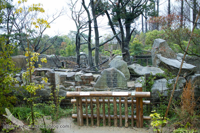 f:id:otters_yvonne:20190422210411j:plain