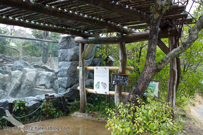 f:id:otters_yvonne:20190422210412j:plain