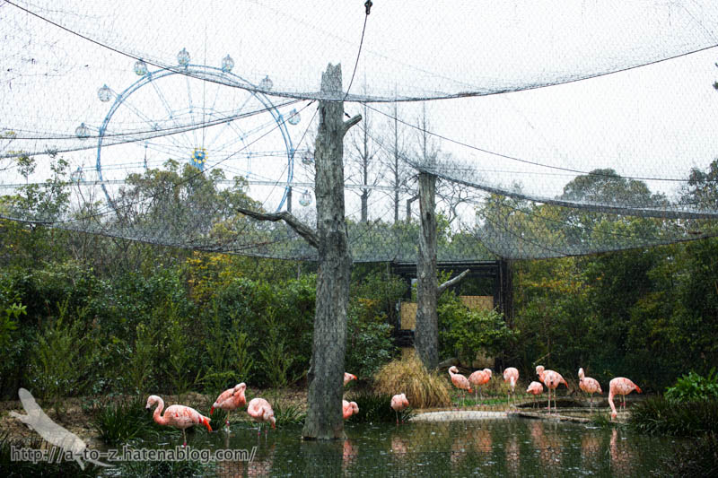 f:id:otters_yvonne:20190422210415j:plain