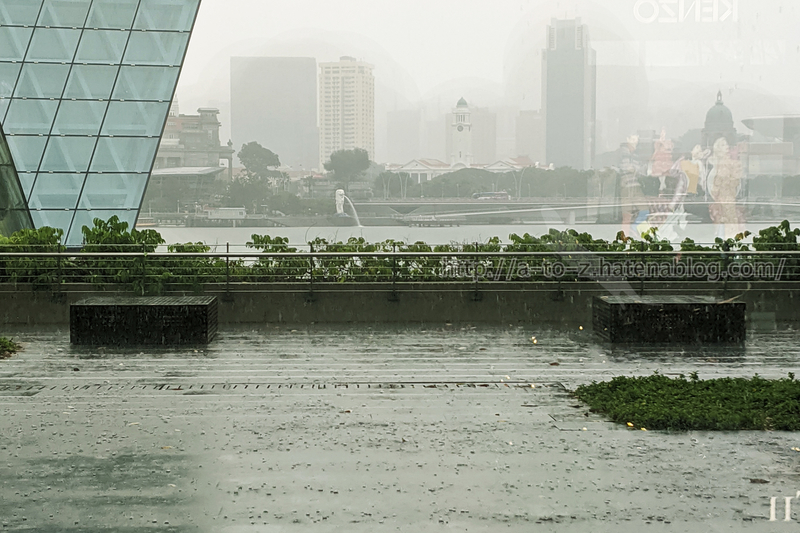 f:id:otters_yvonne:20191226175823j:plain