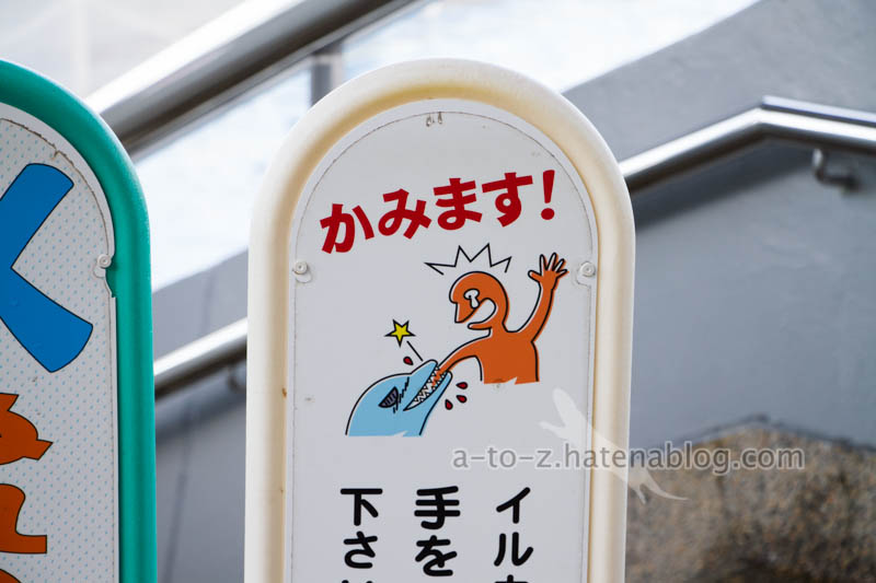 f:id:otters_yvonne:20201207101247j:plain