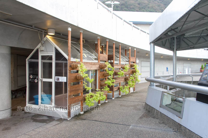 f:id:otters_yvonne:20201207101407j:plain